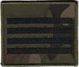 Militärischer Dienstgrad auf Gore-Tex, Klettabzeichen Zugführer 294R