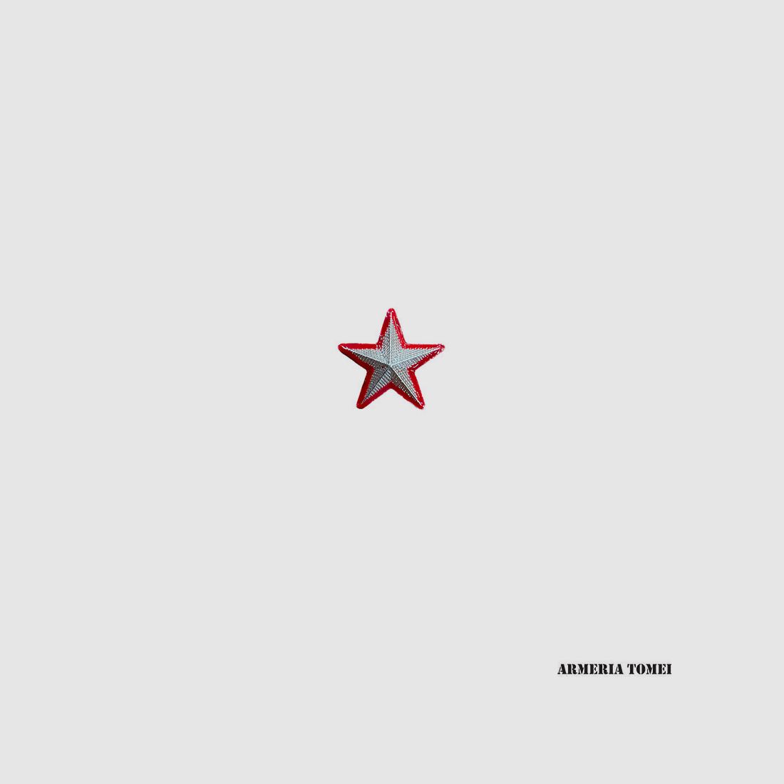 STELLA METALLO GRADO ARGENTO BORDATA ROSSA
