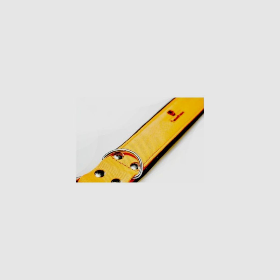 Twelvepointer Hunde Warnhalsung 50 cm