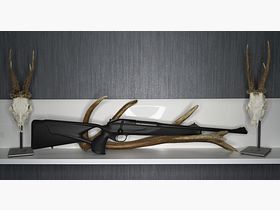 Blaser R8 Professional Success, cal. 308 Win.