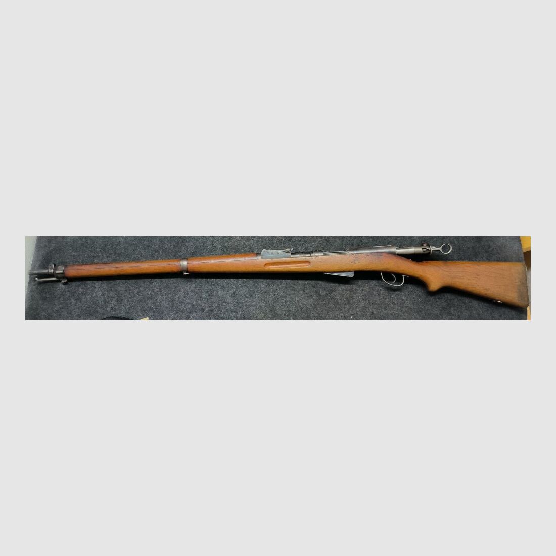 Schmidt Rubin G11