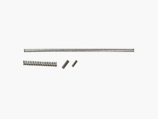POWER CUSTOM 10/22® EXTRA POWER CUSTOM 10/22 SPRING KIT