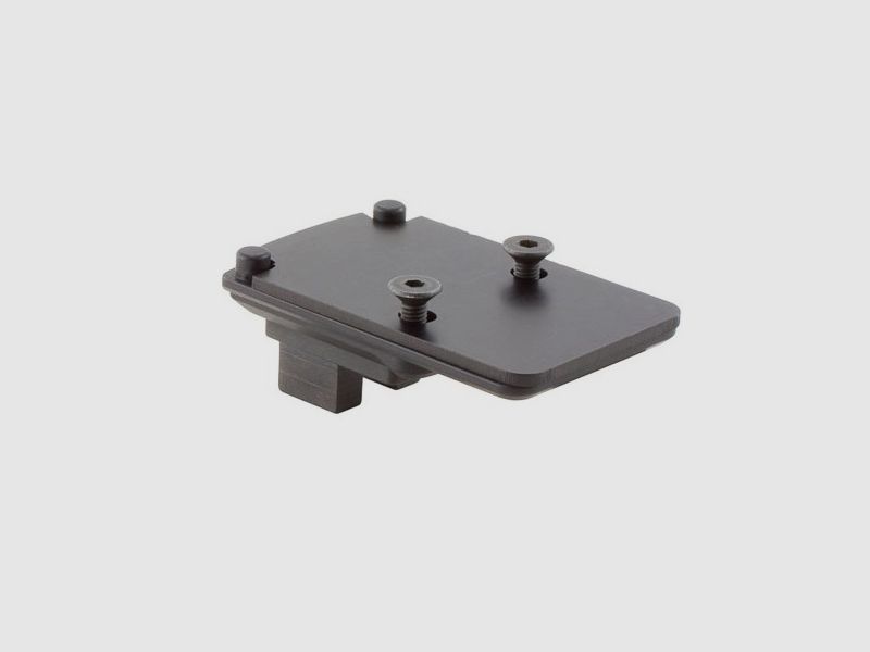 Montage RMR/SRO pour fusil personnalisé