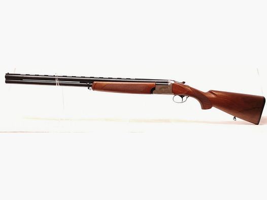 Franchi Alcione (AL)