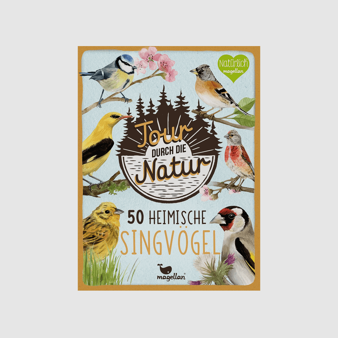 Karten-Spiel "Tour durch die Natur - Heimische Singvögel"