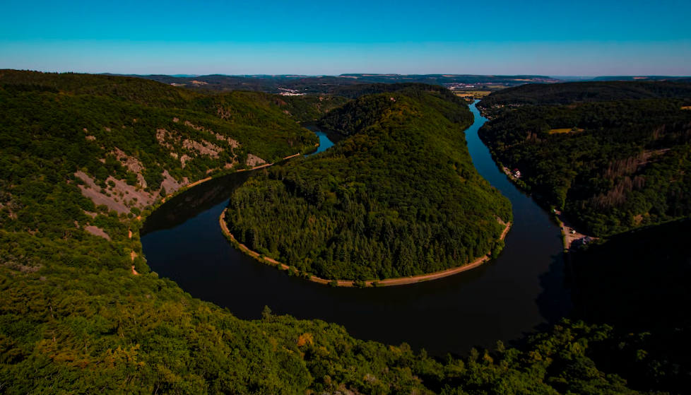 Jagdzeiten Saarland