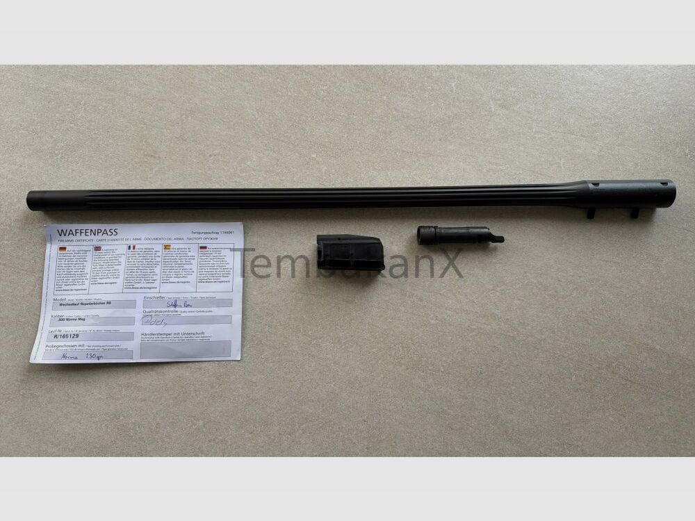 Switching run Blaser .300NormaMag