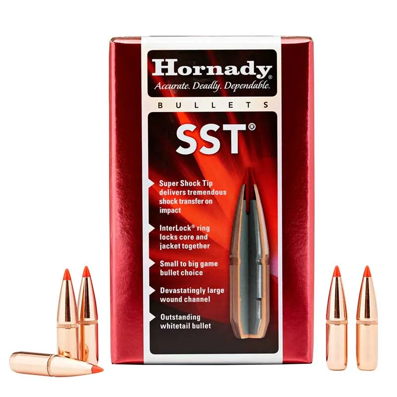 Pociski Hornady 7,62 mm SST 123gr - 100 szt.