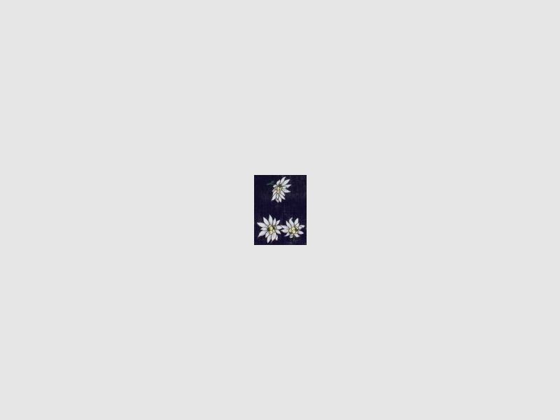 Luise Steiner Bandana Edelweiss Dark Blue