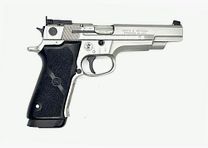 Smith & Wesson Target Champion