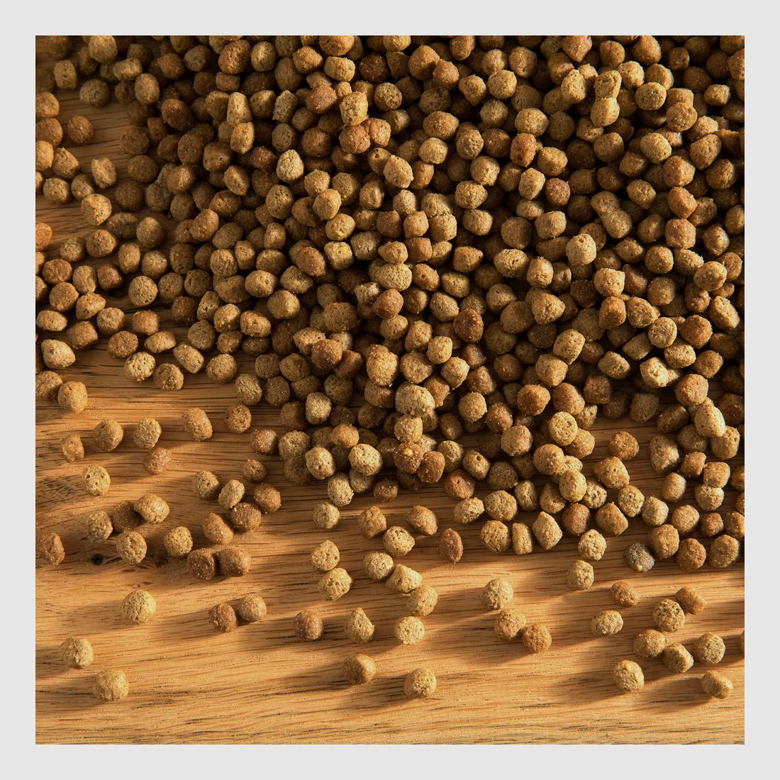 Hubertus Gold Junior Premium Nourriture Complète Sèche, image 2 sur 3