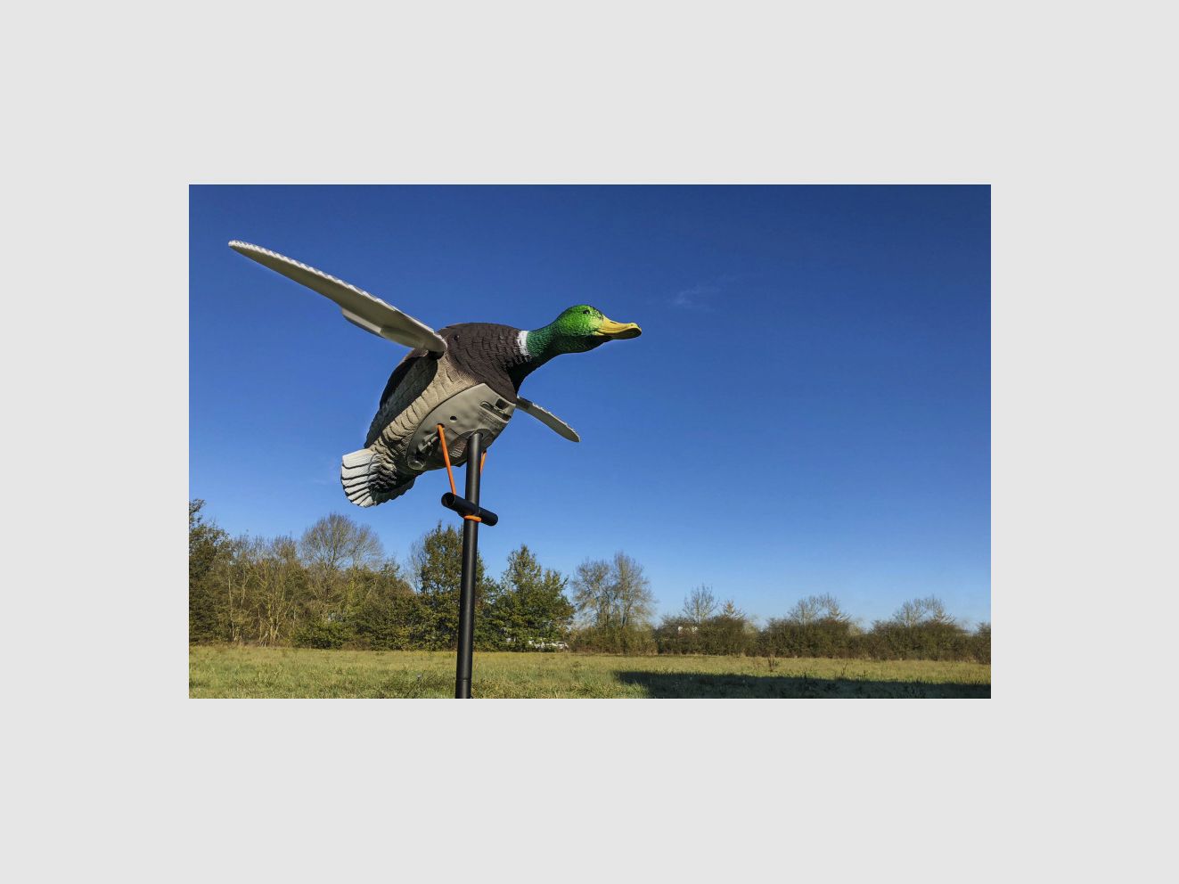 Appelant motorisé électrique canard ailes tournantes, image 3 sur 10