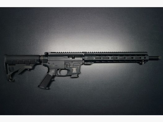 Windham AR-9