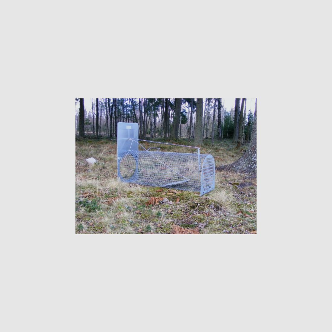 Trappola per tassi Lotin (non assemblata)