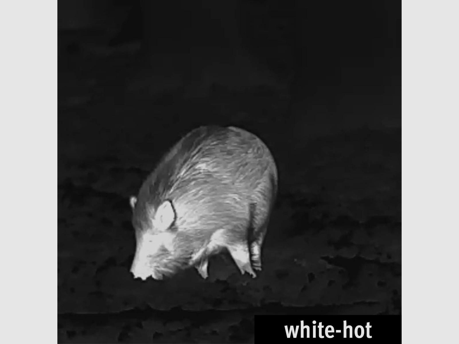 Lahoux Spotter Mini Wärmebildkamera