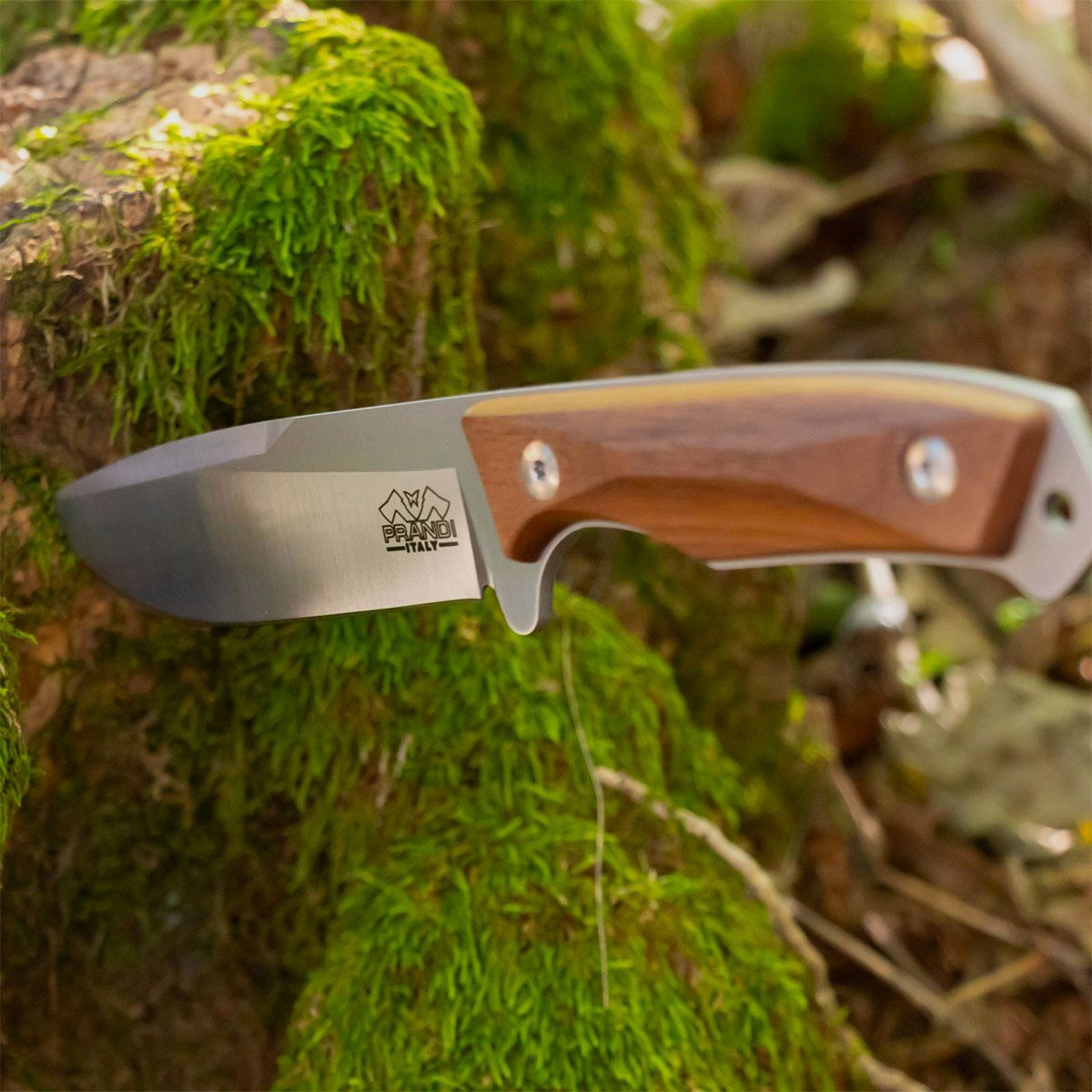 Knife – Prandi – Bushcraft “Cortel” Classic F, image 3 of 3