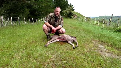 Turning a Deer into a Backpack