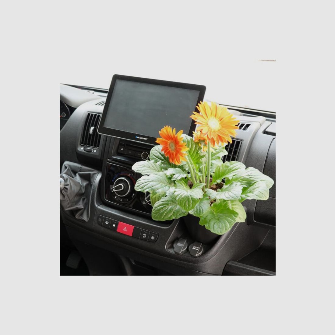 Vaso da fiori/Porta bevande Gadget per cockpit, immagine 1 di 5