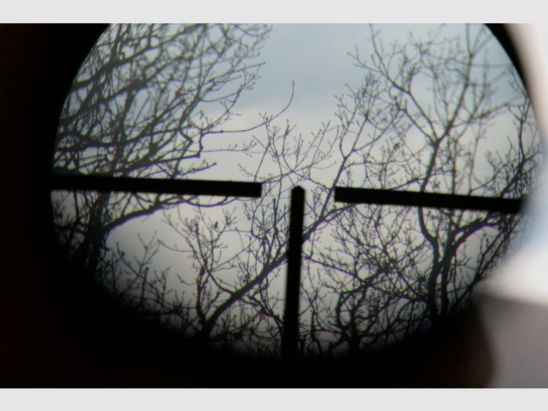 Fucile ripetitore Voere Titan II 8x68S Voerenbach con grilletto tedesco