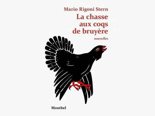 La chasse aux coqs de bruyère