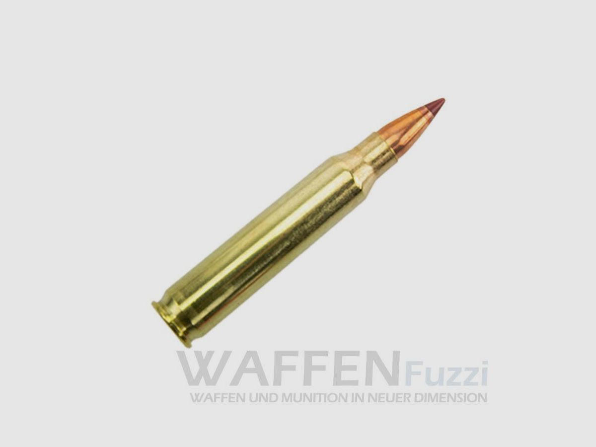 Hornady Superformance .223 Rem. NTX 35gr