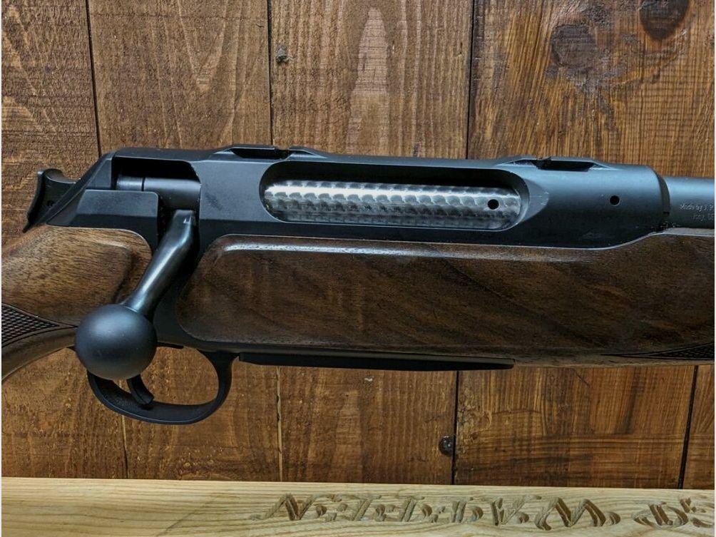 Sauer	 404