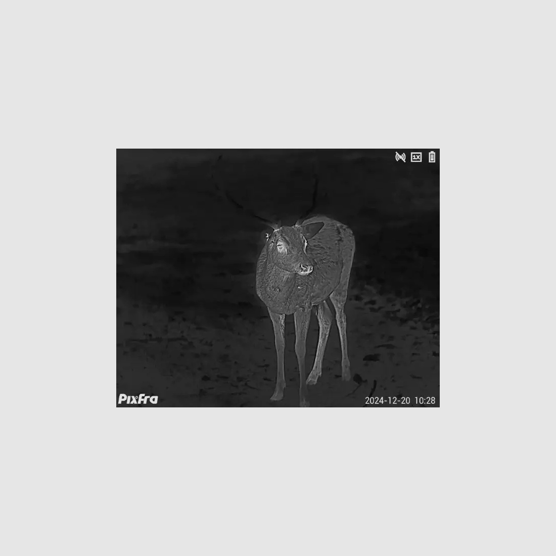 Pixfra Wärmebildmonokular Sirius S650D