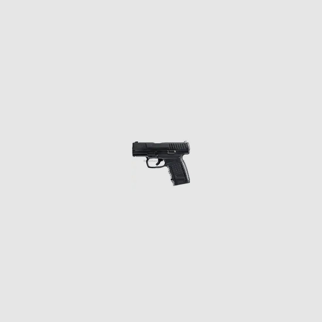 Walther PPS