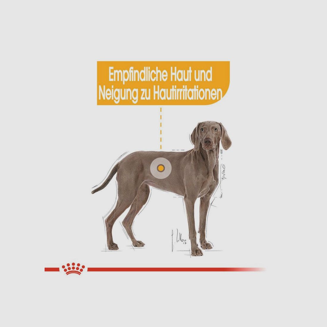 ROYAL CANIN Große Hunde Trockenfutter Dermacomfort Maxi für empfindliche Haut