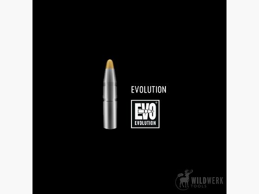 RWS Evolution