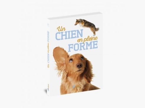 Halten Sie Ihren Hund in Topform