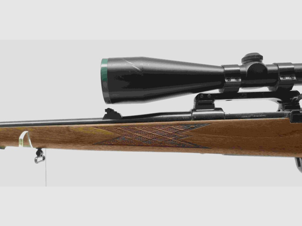 Cabaña de caza Suhler HW98