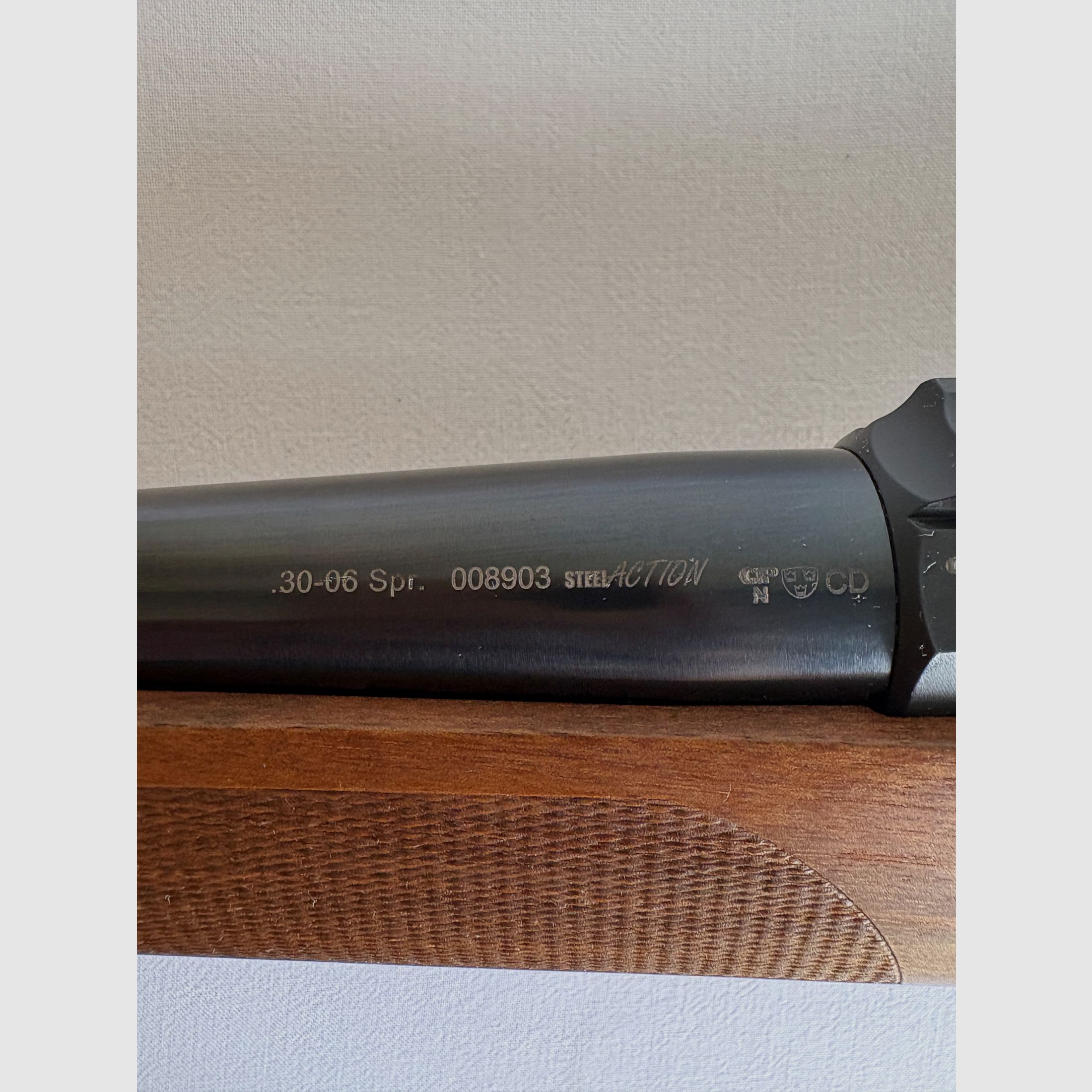 Steel Action HM Kaliber .30-06 Springfield – mit 2 Magazinen, Bild 10 von 18