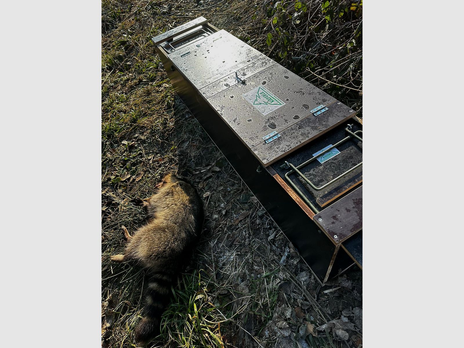 Trappola a scatola Allround Kieferle