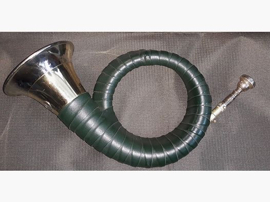 Fürst Pless Horn