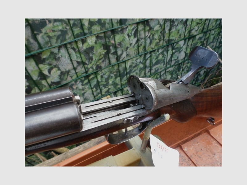 Charlin System Darne shotgun