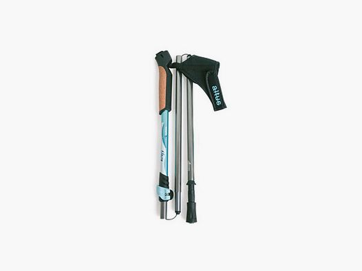 HAYA-SCHIESSSTOCK