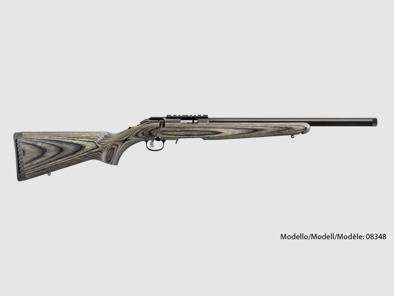 Amerikaans Rimfire Doel