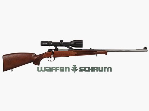 Antonio Zoli Classic , ZF S&B Zenith 2,5-10x56 Abs. L3, EAW-Schwenkmontage, .308Win