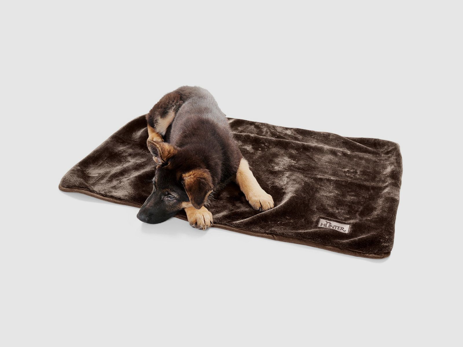 Hunter Hundedecke Konstanz