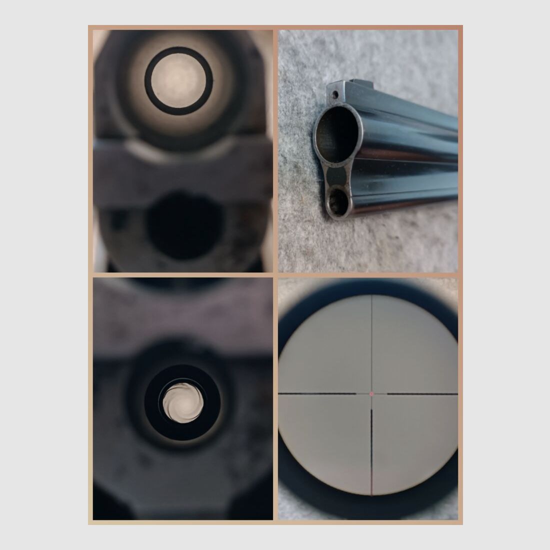 Blaser ES 80 mit Zielfernrohr Capra 2-12x50 Leuchtpunkt