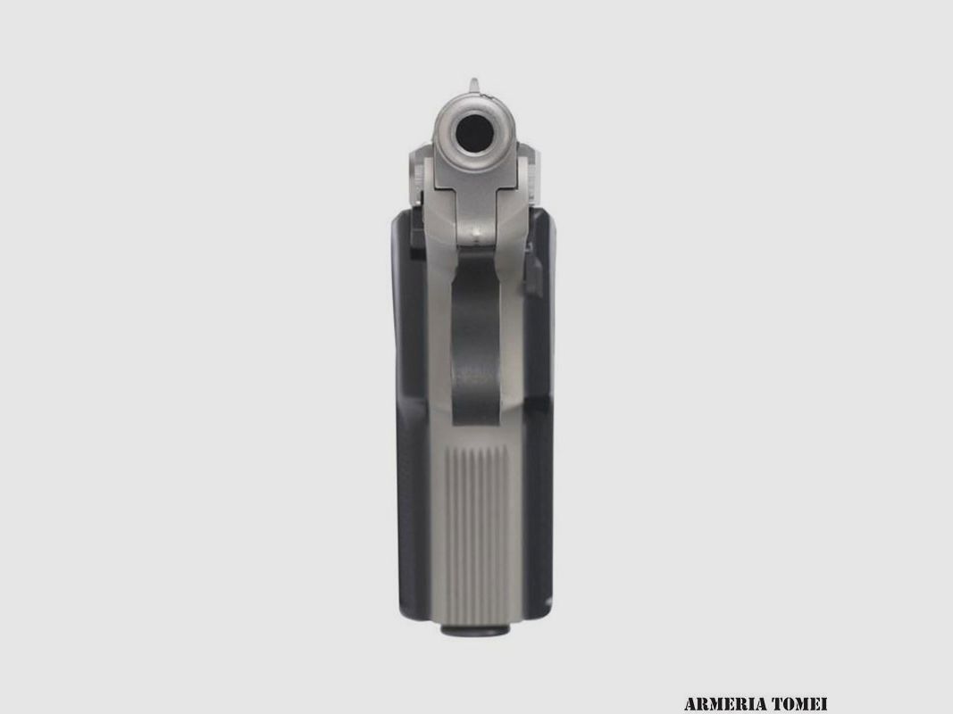 PISTOLA – BERETTA 21 BOBCAT INOX .22LR, immagine 9 di 10