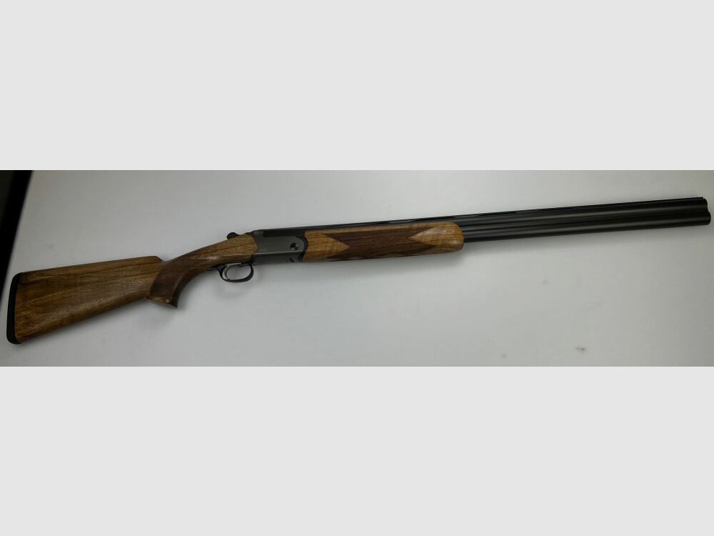 Blaser F16 Game