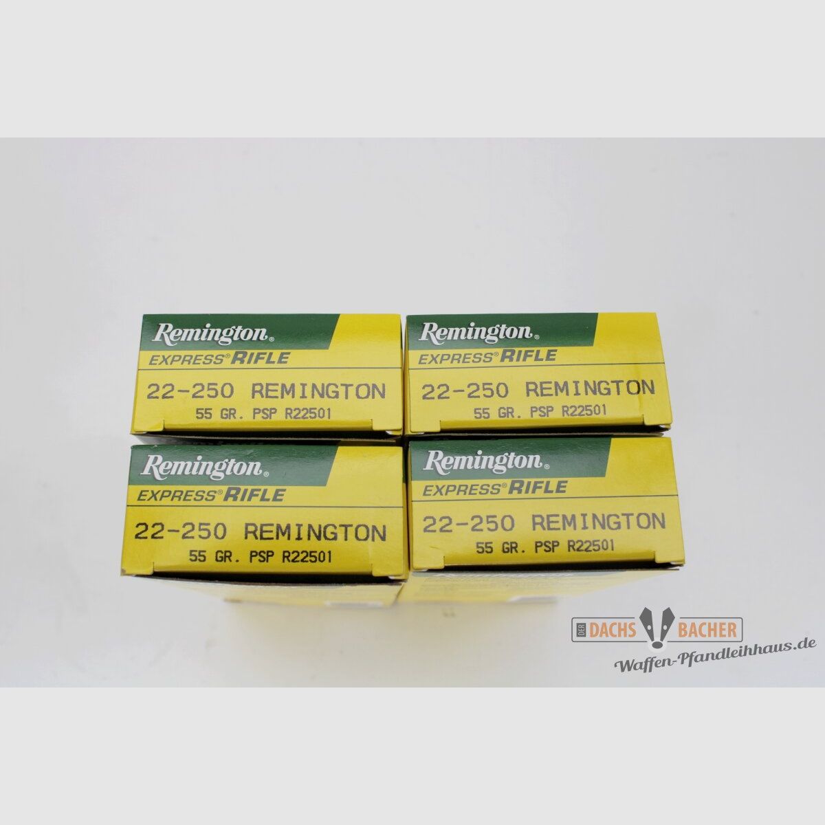 Remington .22-250 Rem 55gr. PSP 80 (4x20) Schuß