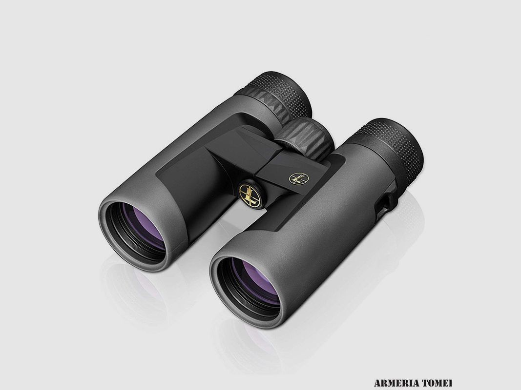LEUPOLD – BINOCULAR BX-2 ALPINE 8X42 GRAY
