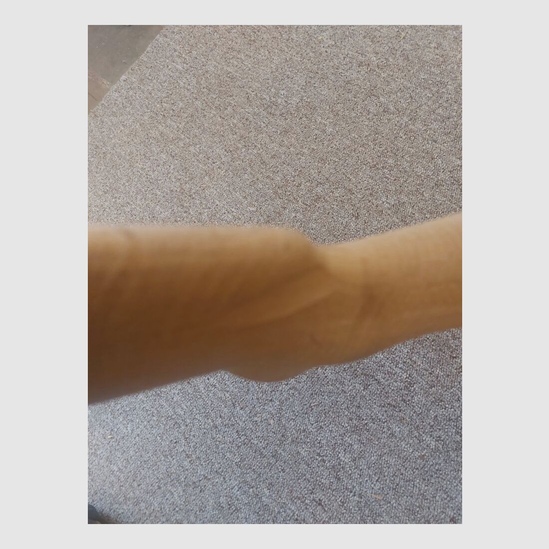 Madera de culata Mauser M98, fresada previamente