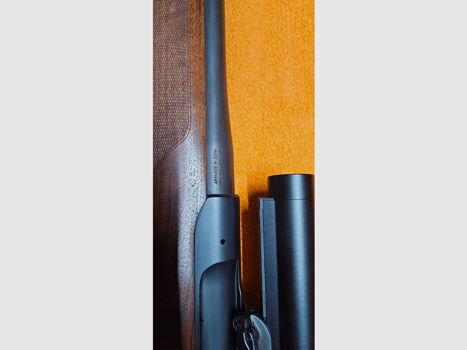Sauer 303 Classic .30-06 mit Swarovski Z6i 1-6x24 SR & Sauer-Montage