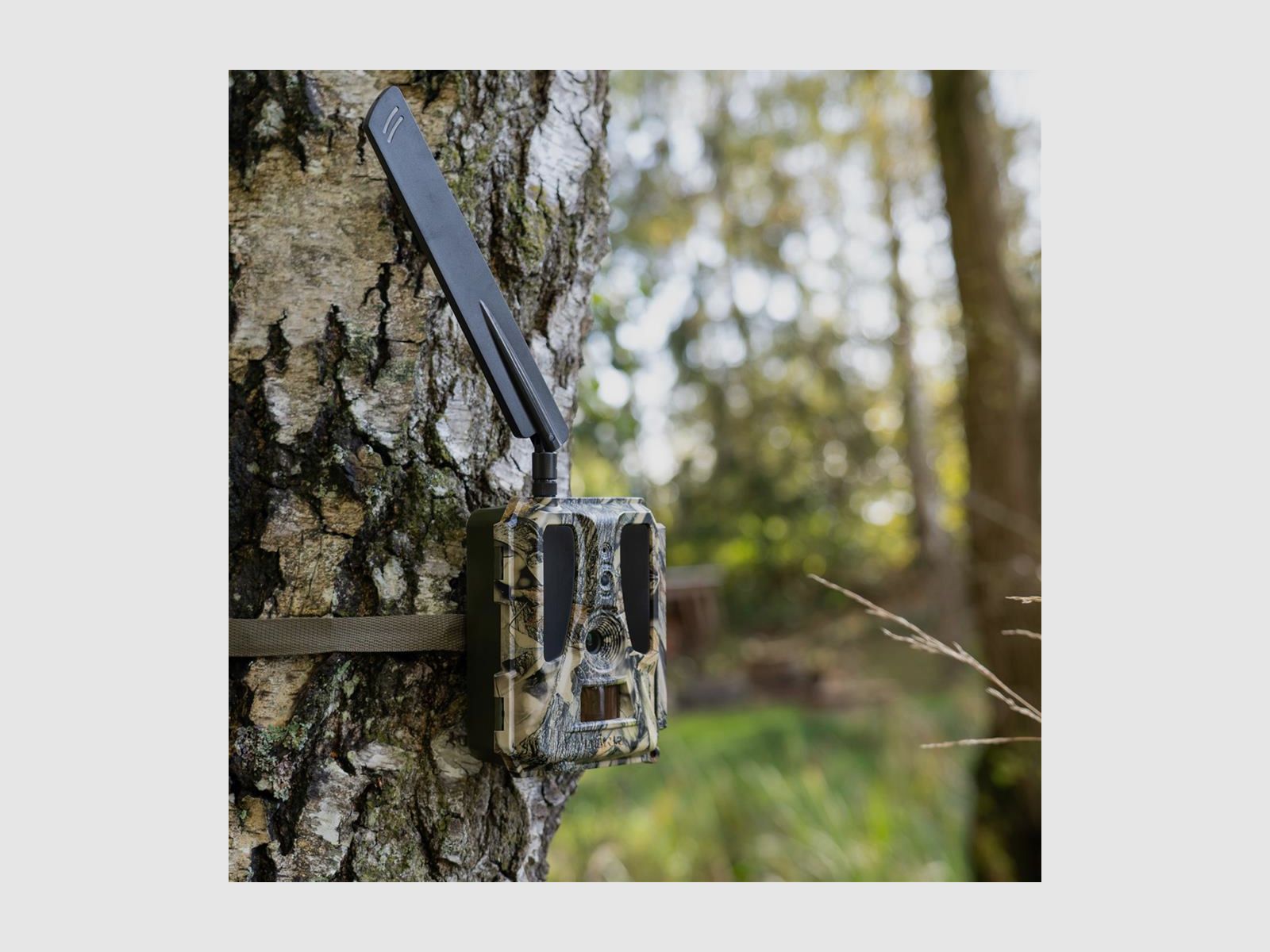 DÖRR Überwachungskamera SNAPSHOT CLOUD PRO 4G WA