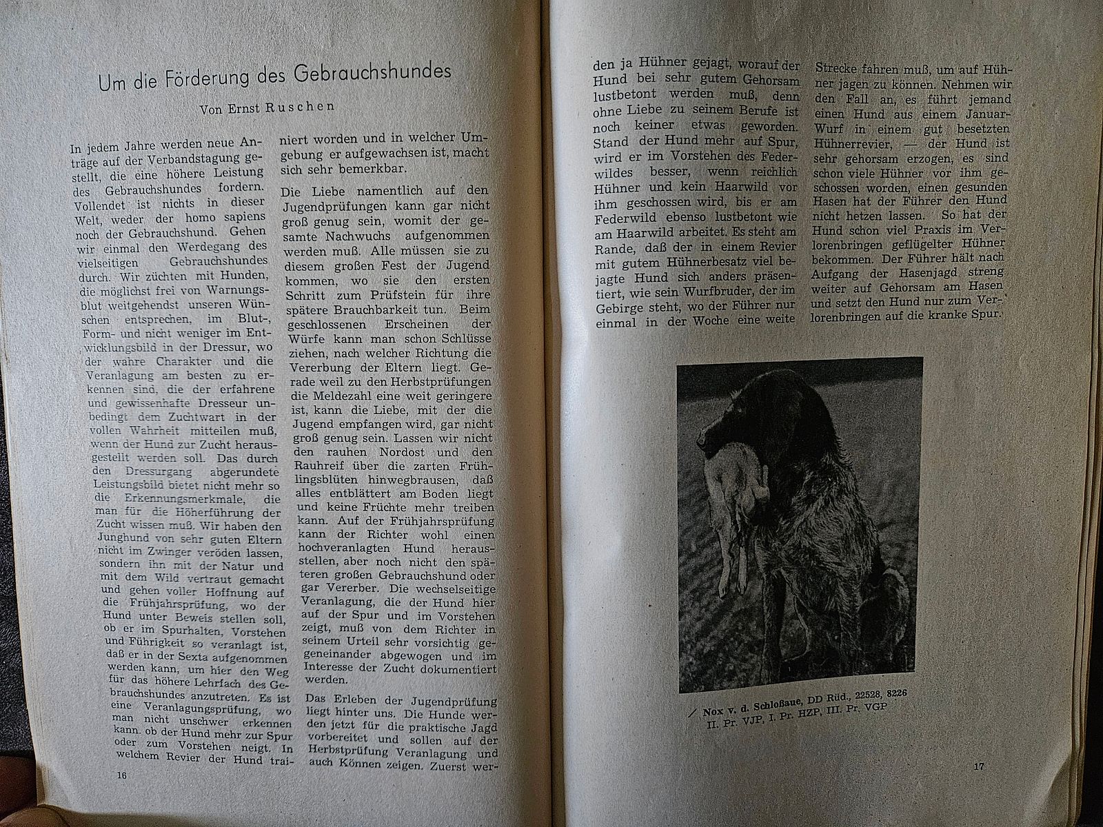 "Der Jagdhund" - Erstausgabe der aus dem Jahr 1954 - Jagdbuch - antiquarisch 