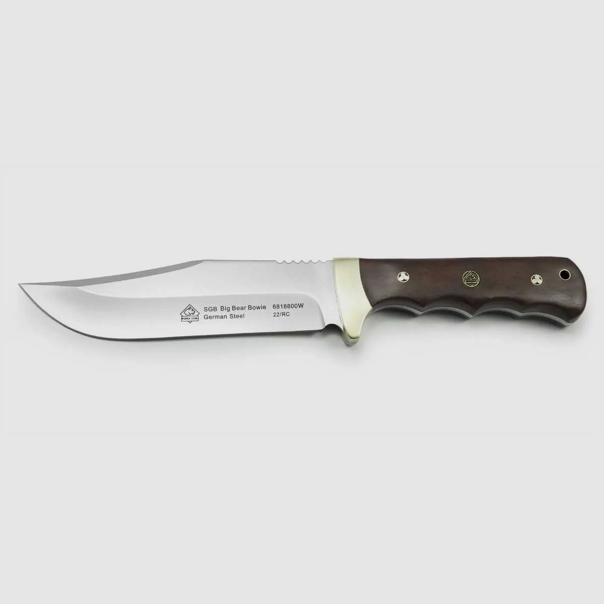 PUMA SGB big bear bowie, Jacaranda